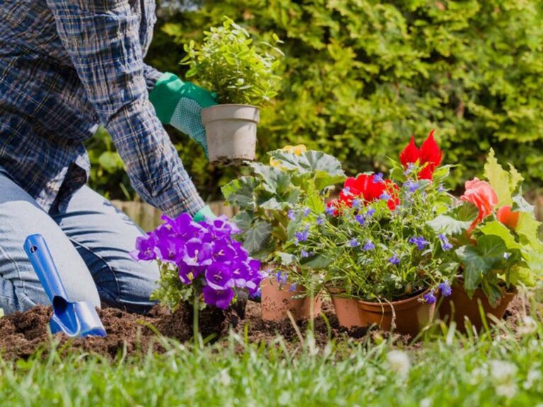 Gardening-in-a-city-by-the-sea-B-30-07-1024x640